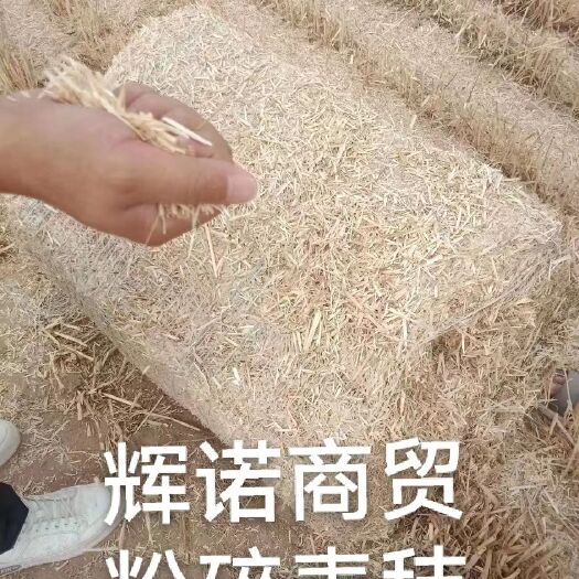 忻州小麦秸秆