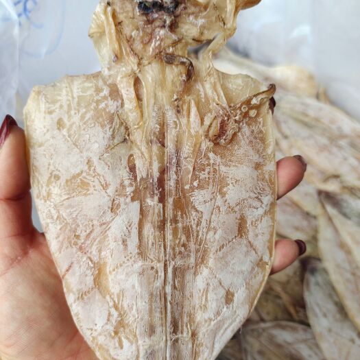 北海鱿鱼干 北部湾/越南鱿鱼干 船晒鱿鱼干 烤烧专用鱿鱼干