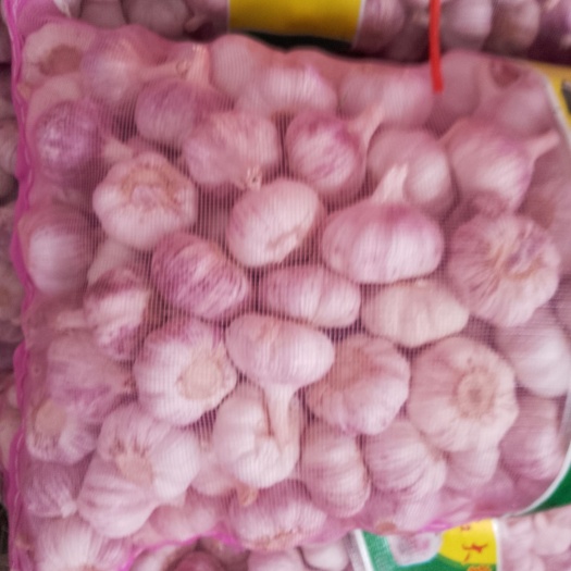 邳州市邳州大蒜红蒜精品净蒜质量好保证全国各地直供！