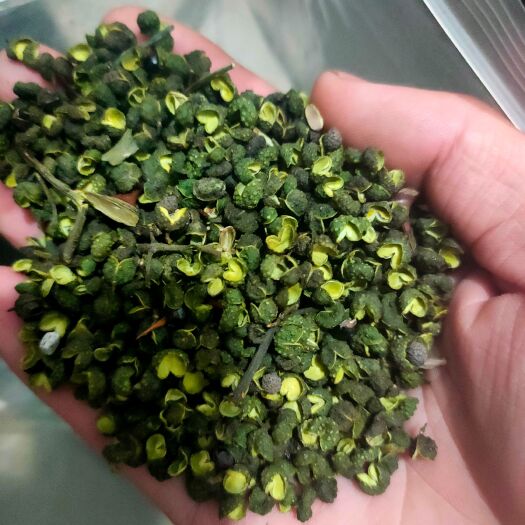重庆市江津青花椒40一斤
