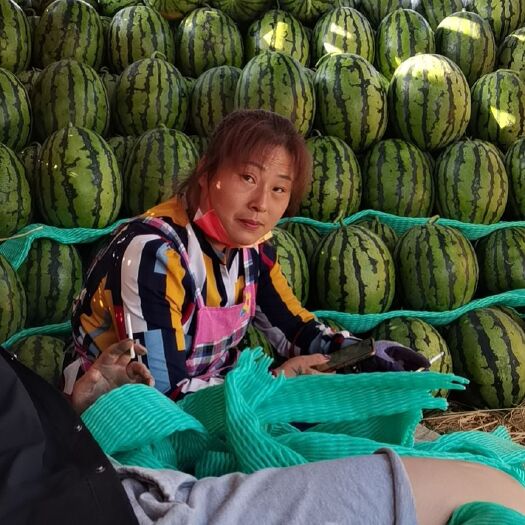 保定大量上市甜王西瓜