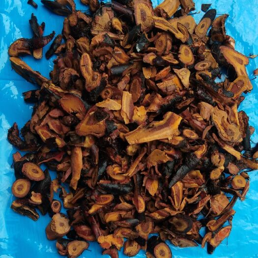 贵阳虎杖 大虫杖酸桶笋苦杖酸杖斑杖苦杖根杜牛膝