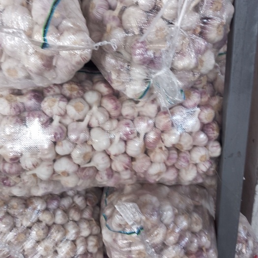 邳州市净蒜精品红蒜质量保证价格合理常期发货！