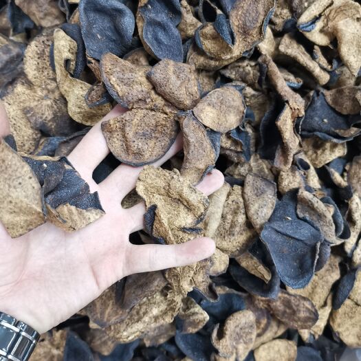 广州新会老陈皮20年扎把陈皮15年三花陈皮