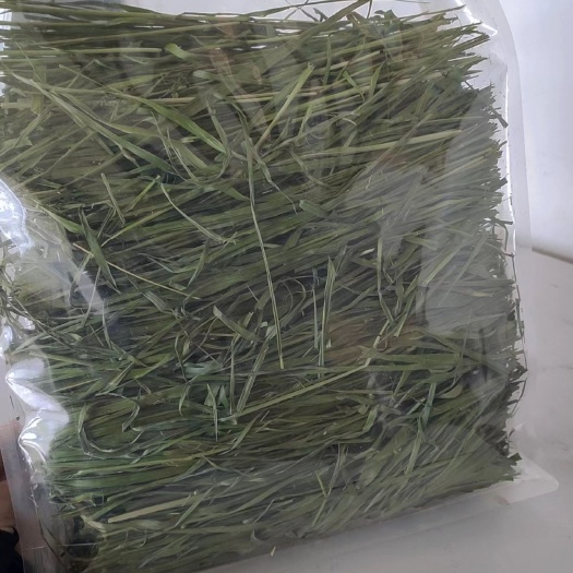 岷县提摩西烘干草段，干净整齐，好投喂，是荷兰猪，龙猫，兔子的最爱