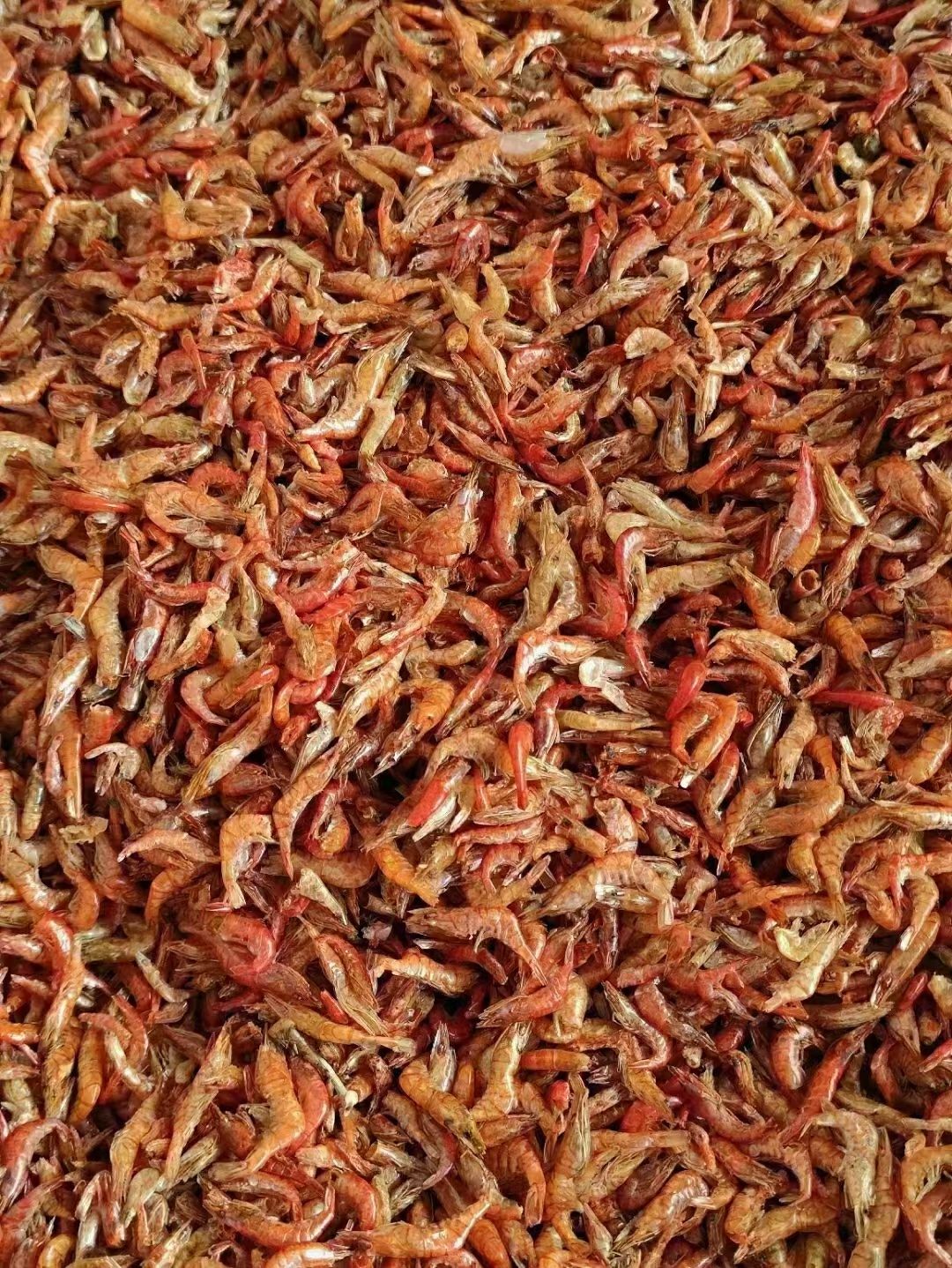 小溪干虾一斤68包邮