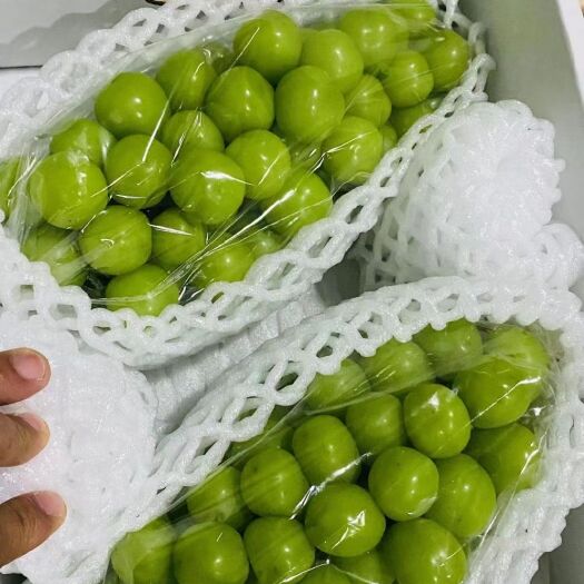 晋州市各品种葡萄大量上市中