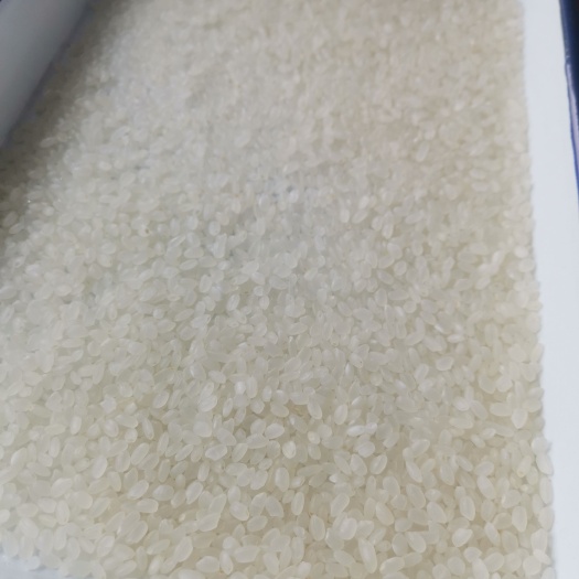 成都东北珍珠米