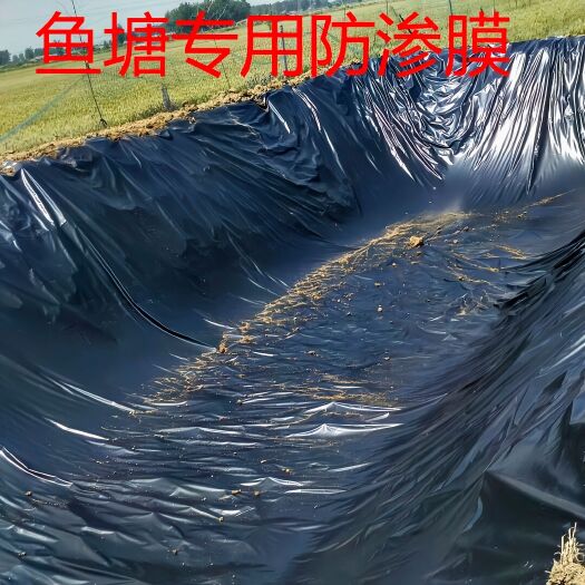 玉田县塑料膜 黑色防渗膜 鱼塘、藕池水产养殖防水防渗膜 土工膜