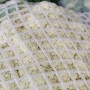 通许县精品花菜出库中，价格不高，质量嘎嘎好。