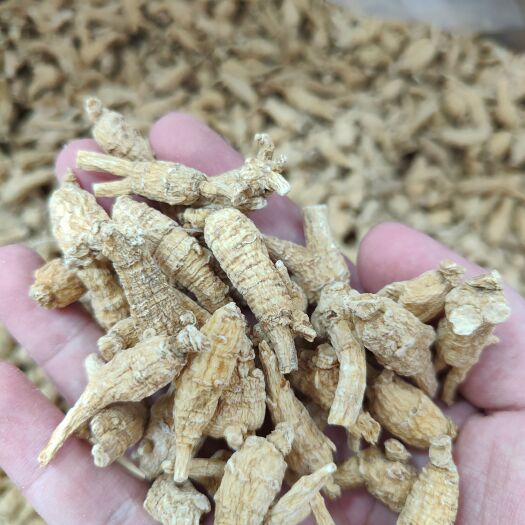 普宁市西洋参花旗参 加拿大西洋参花旗参一斤一袋包邮足干