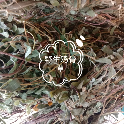 高州市鸡骨草，中草药鸡骨草