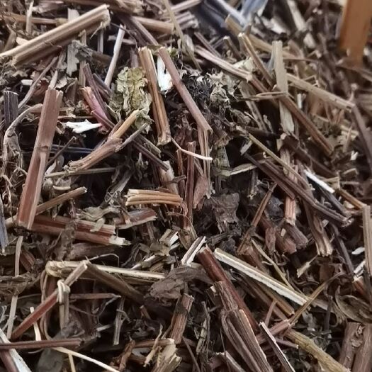 玉林溪黄草