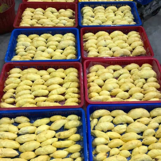 南宁金枕榴莲