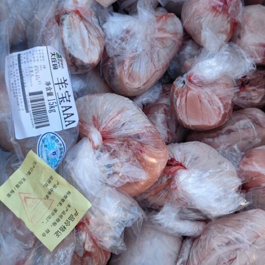 济南大庄园羊宝