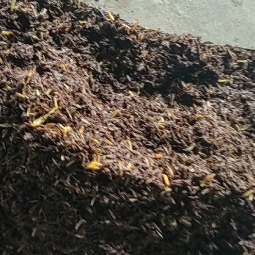 仁怀市肉牛养殖，有机肥加工！
