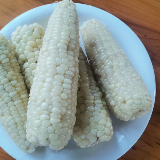 肇庆甜糯玉米