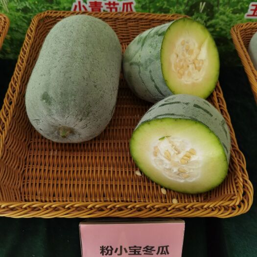 广州2～3公斤的小型粉皮冬瓜 粉小宝冬瓜种子 肉质脆甜耐贮运