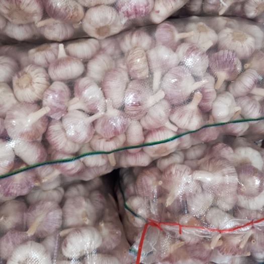 邳州市大蒜红蒜精品红蒜，邳州蒜大型冷库，诚信经营