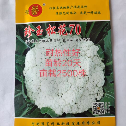 珍玉松花70菜花种子耐湿花球比一般品种白商品性高2公斤