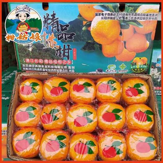 长阳县资丘镇大树湾椪柑