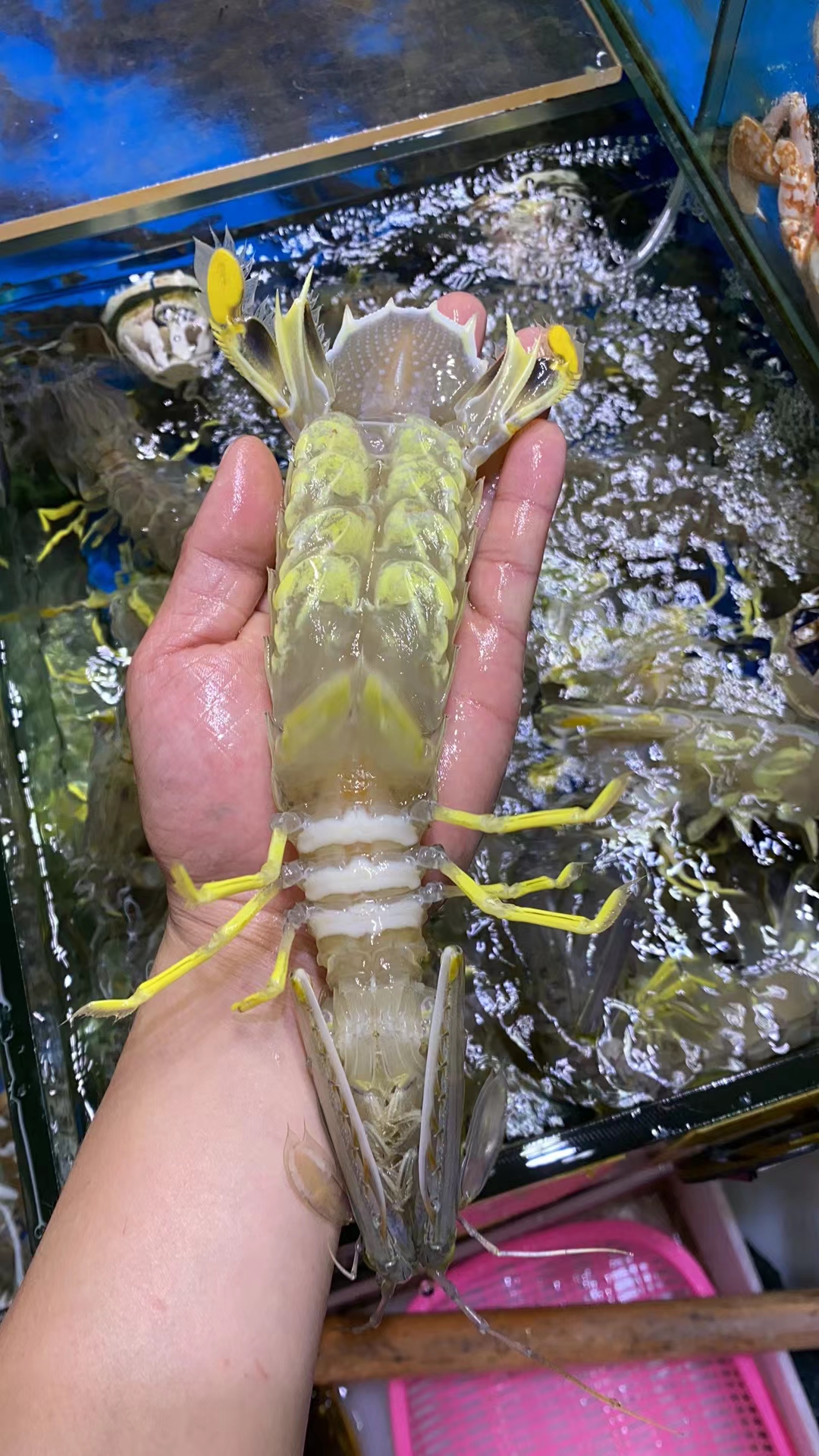 廣州豪記海鮮