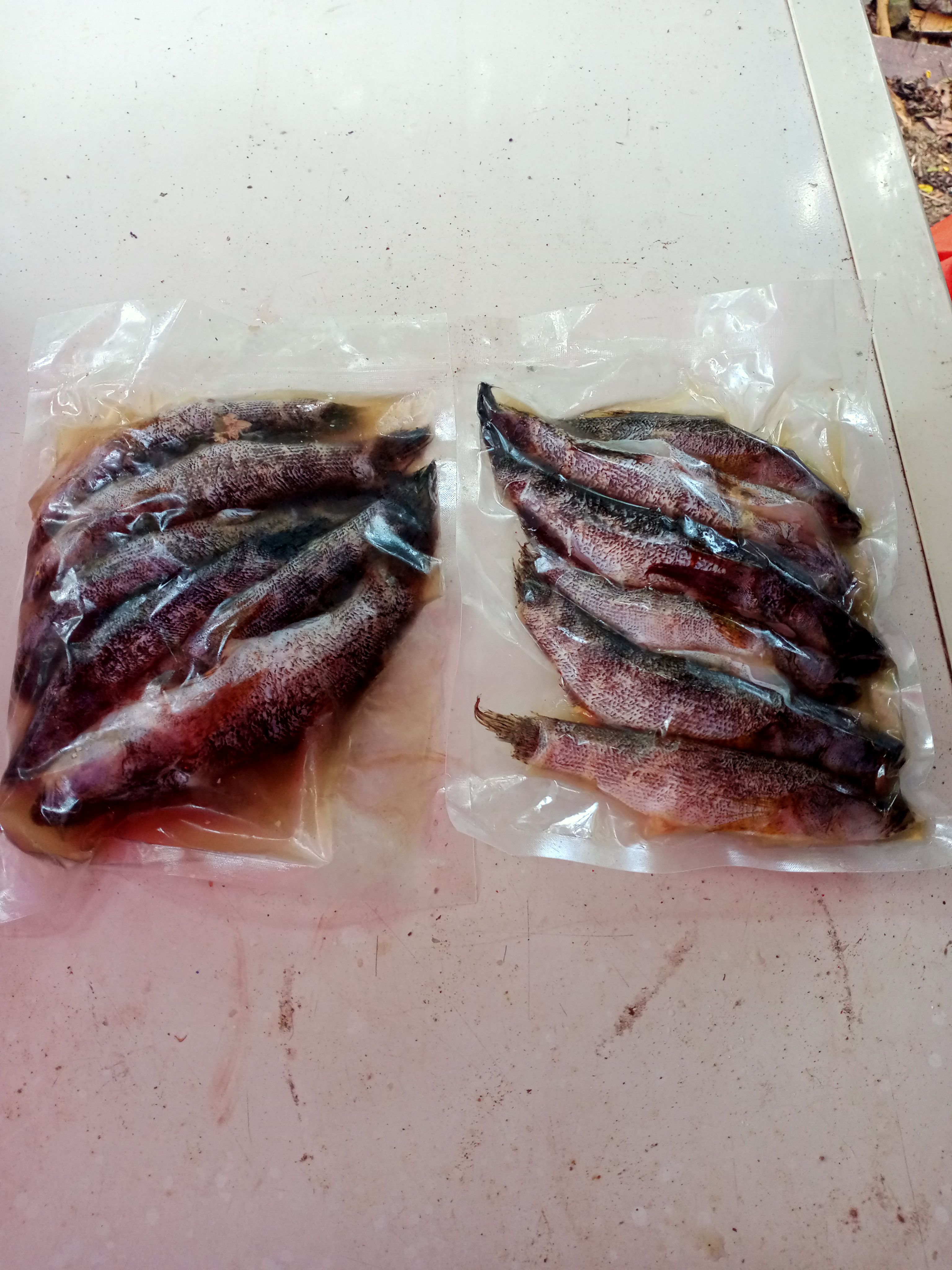 木乃伊三去，质量新鲜，作业到位
