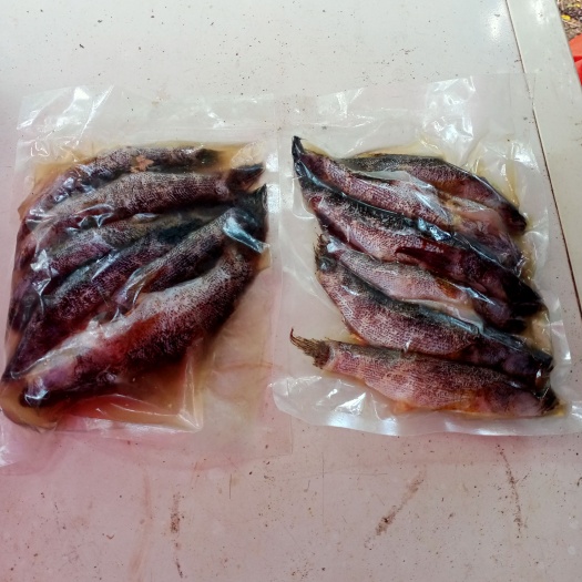 三亚木乃伊三去，质量新鲜，作业到位