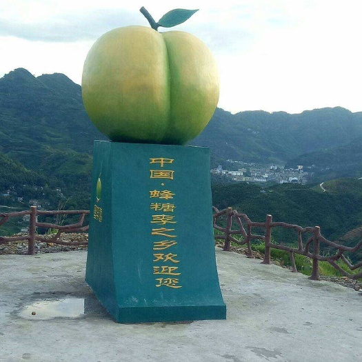 镇宁县贵州六马蜂糖李种植大户顺丰空运坏果包赔接批发团购超市
