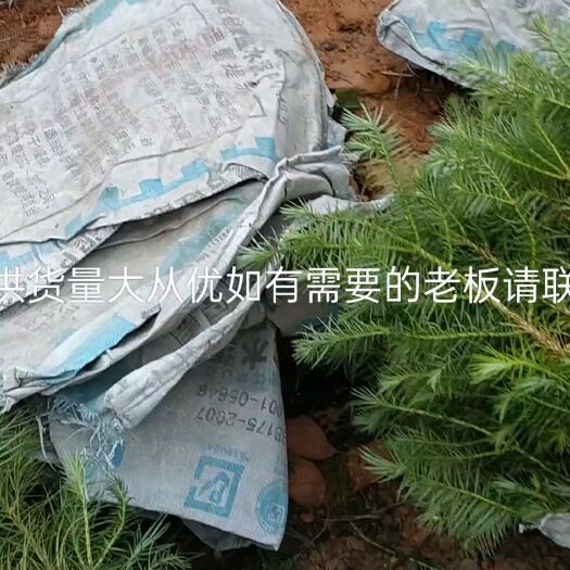 基地自产自销旡中间差价值量有保障