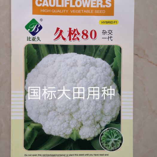 久松80菜花种子春秋两用全松抗逆性强单菜1.8公斤商品性