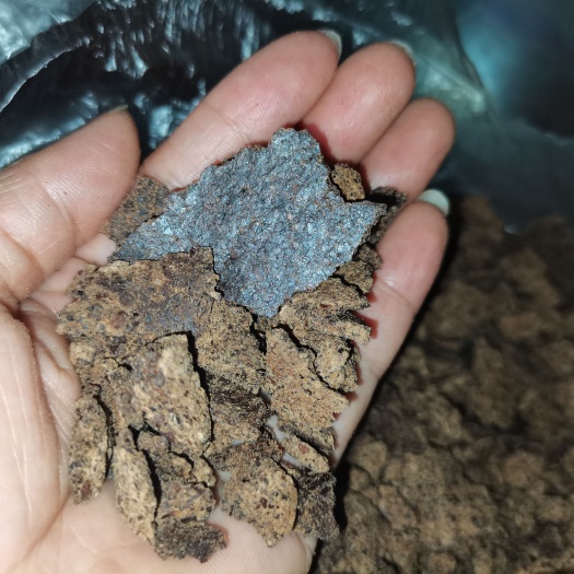 长期供应优质茶麸（茶枯），茶麸种植可做肥还可以杀虫，好处多多