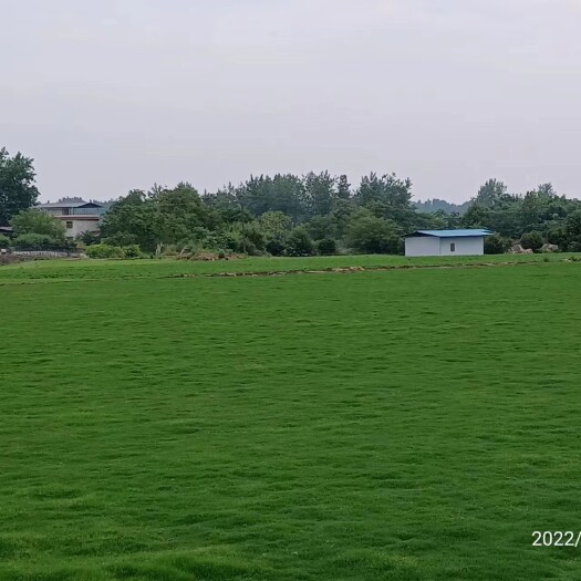 沭阳县四季青大甩卖