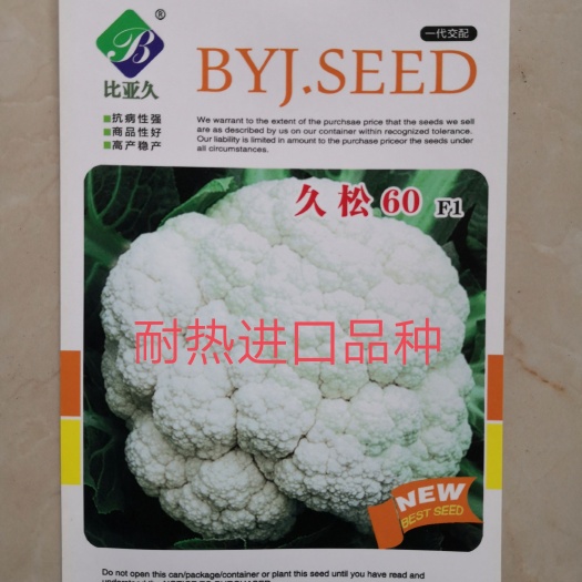 久松60花菜种子抗病耐热耐寒囗感好产量高商品性强经济效益高