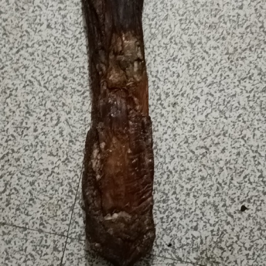 五峰县腊猪脚