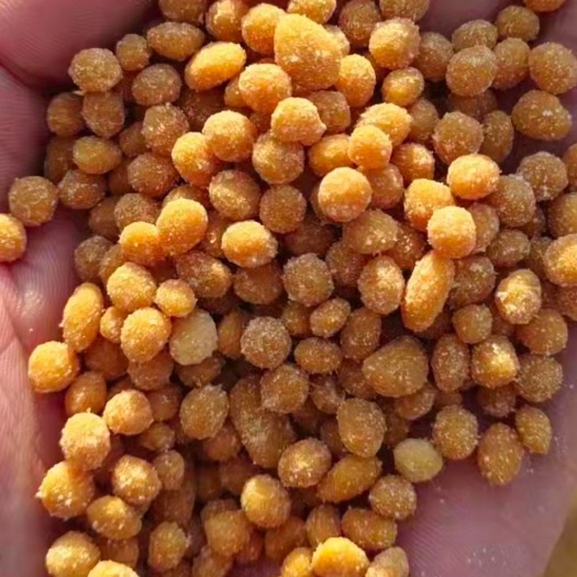 石家庄小麦玉米追肥