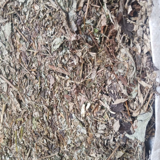 艾葉