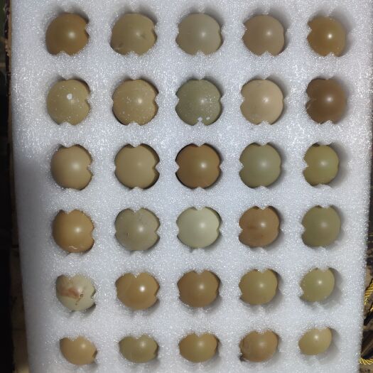 商河县正宗七彩山鸡蛋30枚，当天现捡现发，破损包赔，一件代发