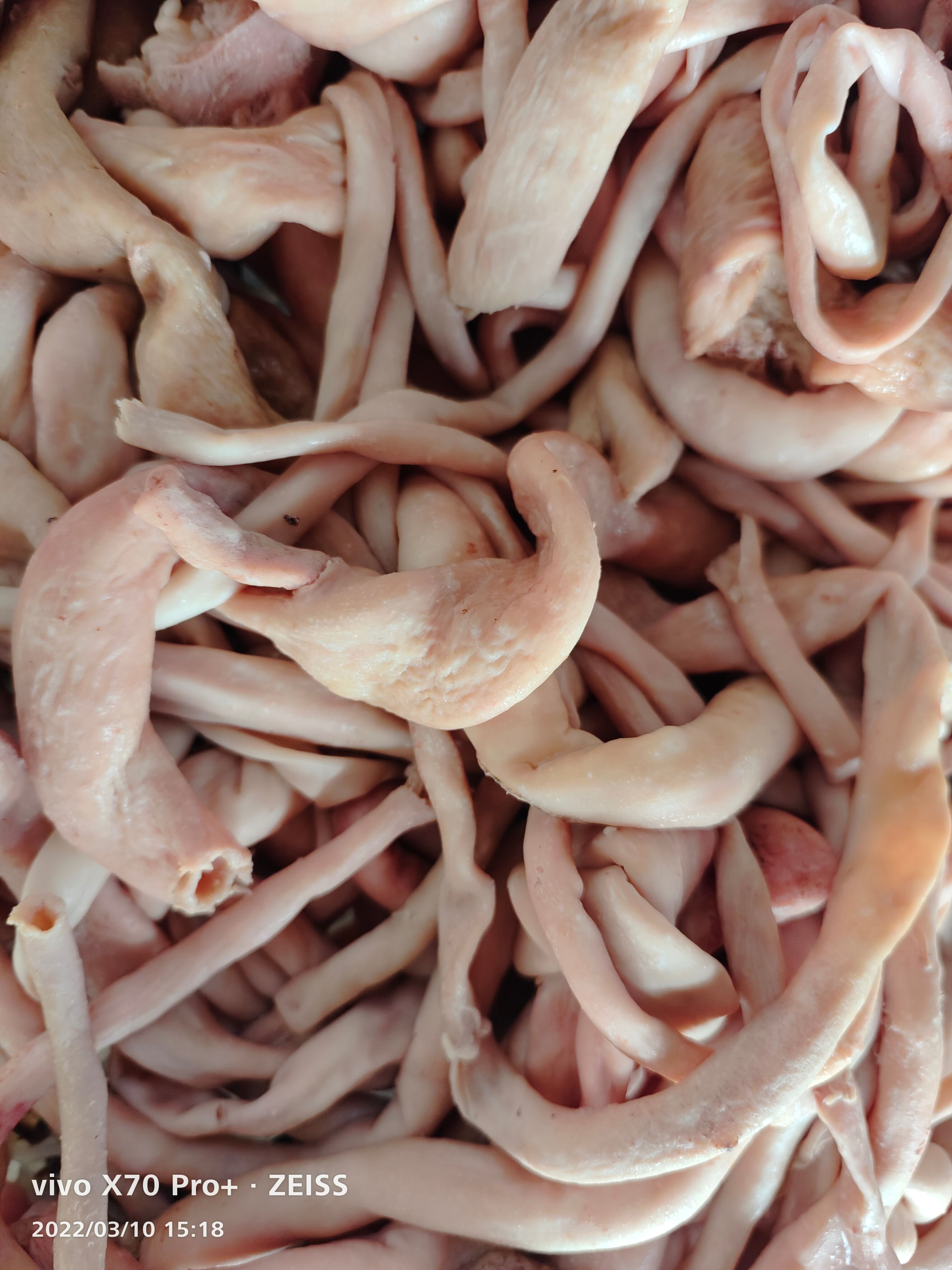 羊杂 羊肠  全熟五香羊肠