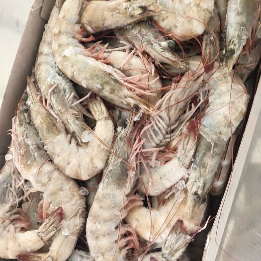 天津桑塔盐冻白虾白盒1.65kg*6盒