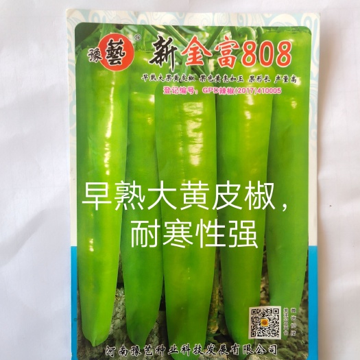扶沟县新金富808黄皮辣椒种子黄皮如玉耐弱光结果多抗性强膨果快好吃