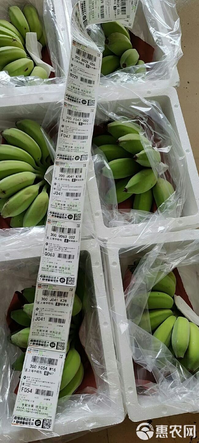 苹果蕉产地直销 支持电商一件代发 社区团购市场批发 果肉饱满