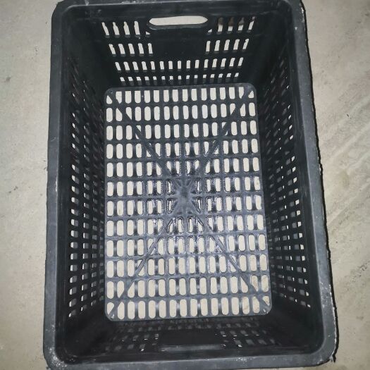 寻乌县塑料筐柑桔脐橙一次性筐