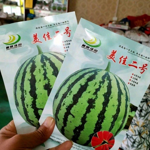 扶沟县美佳二号西瓜种子懒汉式管理结果很多圆型大圆正糖度14.1