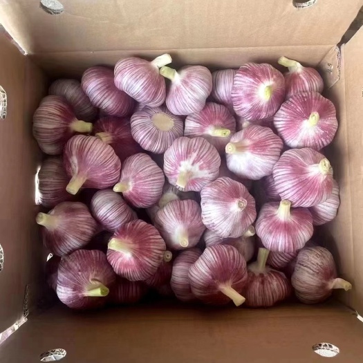 柘城县河南大蒜，蒜米料，市场货，货源充足，欢迎来电咨询。
