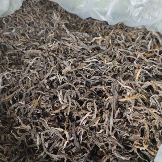 墨江县云南墨江景星凤凰山普通台地茶