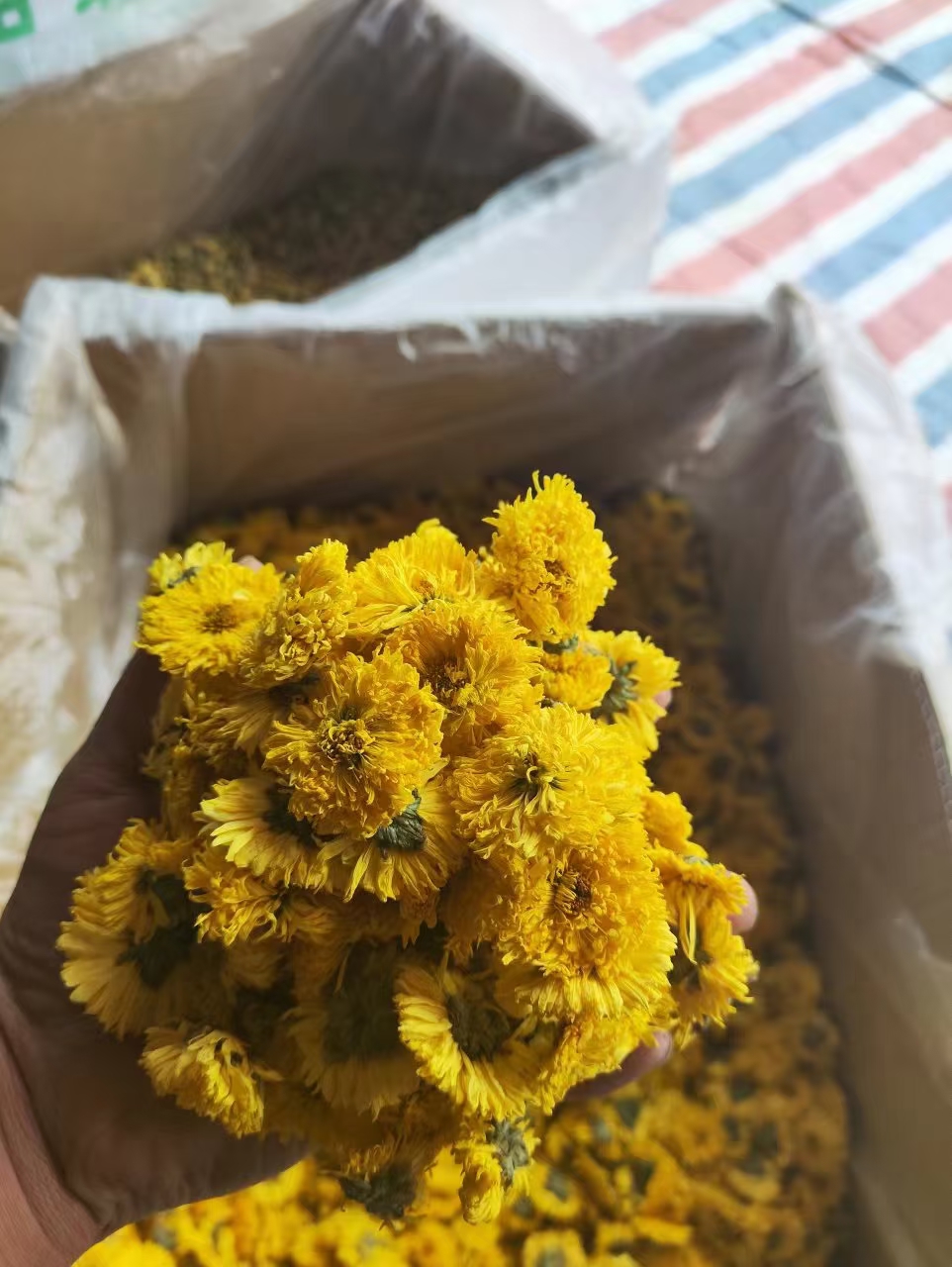 小王花茶批發(fā)