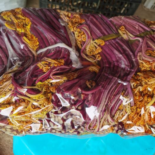 遵义贵州生态紫蕨菜蕨苔原料半成品成品产地低价批发常年供应不断货