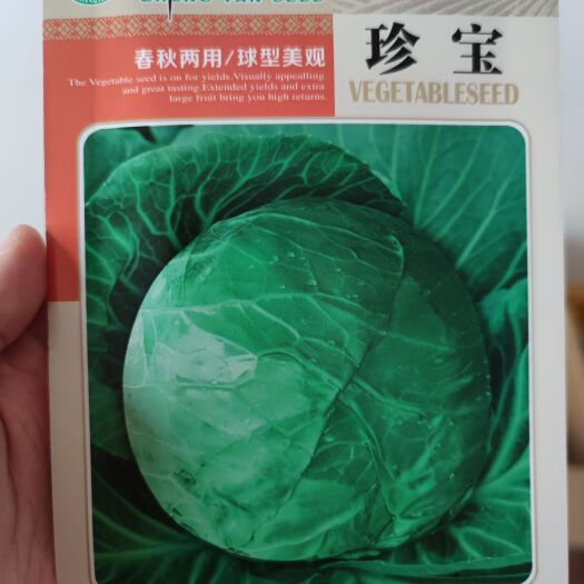 南昌珍宝甘蓝种子，10克，春秋两用秋球型美观