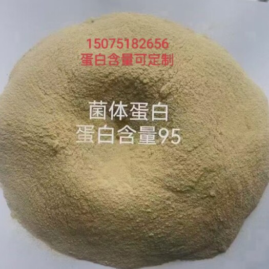 石家庄菌体蛋白